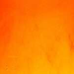 The Power of Orange: Symbolism and Meanings