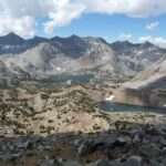 The Majestic Mountain Lion: Exploring the Symbolism and Significance of this Powerful Predator