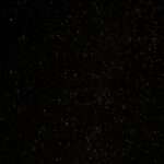 The Mystical Meaning Behind the Black Butterfly: Exploring Symbolism and Significance