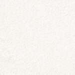 The Mystical Meaning Behind White Butterfly Symbolism: Understanding the Spiritual Significance