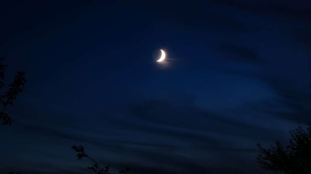 Photo Moon, Dream