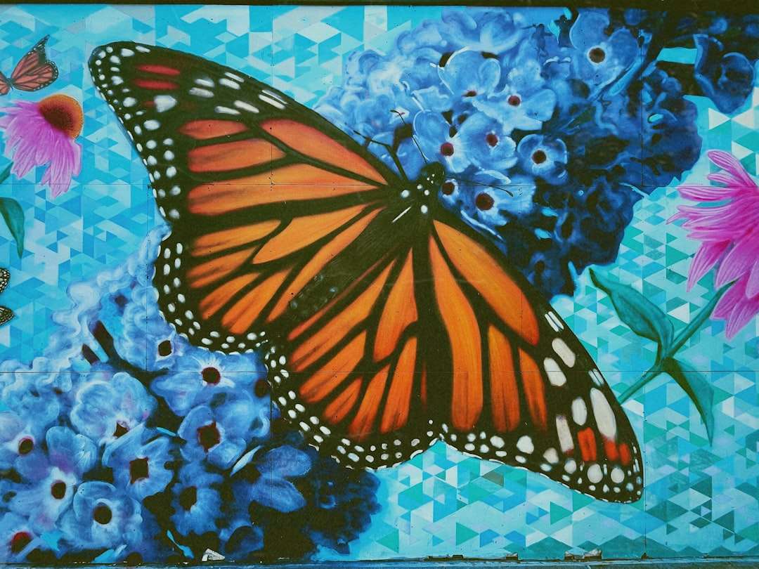 Photo Butterfly art