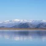 What did the Phoenix represent in ancient Greek mythology?